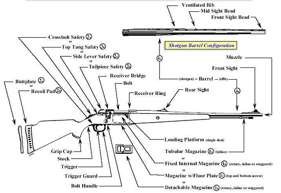 Image of an illustration exhibiting the primary characteristics of a rifle. 
