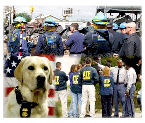 Picture of ATF History Collage
