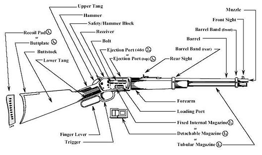 Image of an illustration exhibiting the primary characteristics of a lever action rifle.