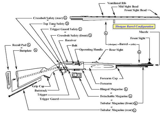 Image of a self loading action or semiautomatic shotgun and all its component parts.