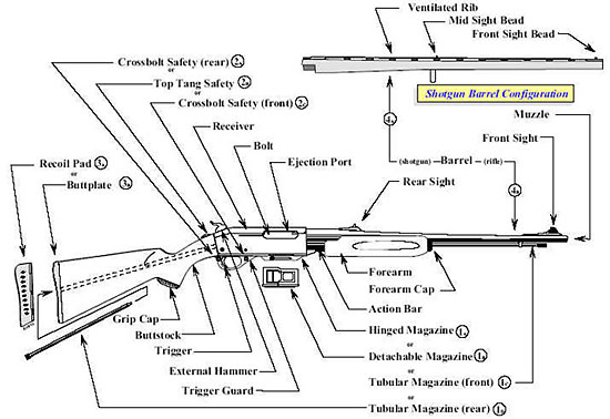 Image of an illustration exhibits the primary characteristics of a rifle, but most component parts are applicable in a revised configuration to the Pump/Slide Shotgun category. 