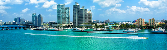 Image of hte Miami skyline Image of the Miami skyline