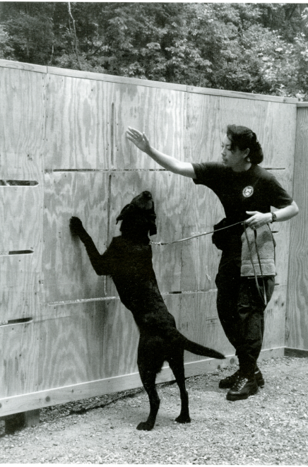 Special Agent Grace Reisling and K-9 Charlie conduct canine explosives detection sweeps