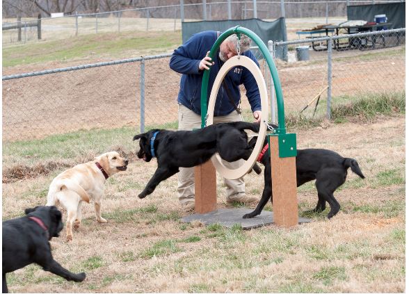 K-9 S.E.E.K. Training