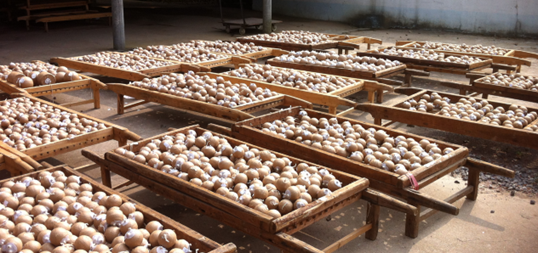 Display fireworks in the manufacturing process.