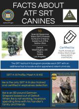 Facts About ATF Special Response Team (SRT) Canines