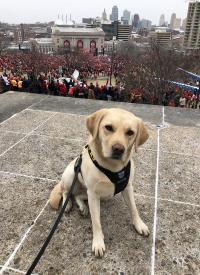 K-9 Shiloh K-9 Shiloh secures event