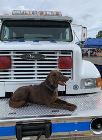 K-9 Bonny sitting on a police truck bumper K-9 Bonny sitting on a police truck bumper