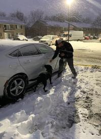 K-9 MC searches for evidence with Special Agent Dan Durkin K-9 MC searches for evidence with Special Agent Dan Durkin