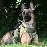 ATF K-9 Arrow